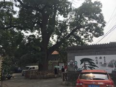 -康陵正德春饼宴26号