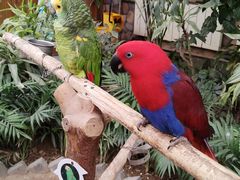 -南宫五洲植物乐园