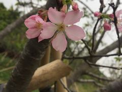 -聚龙山公园