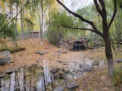 -西安浐灞国家湿地公园