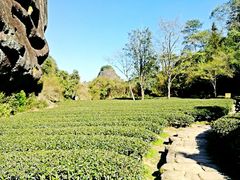 -武夷山风景名胜区-虎啸岩