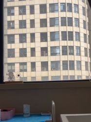 -上海玫瑰医疗美容医院