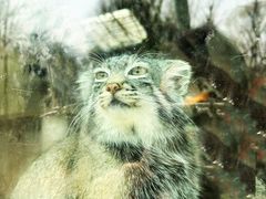 -青藏高原野生动物园