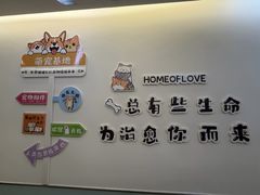 -美迦爱-牙专科·兔科·骨科诊疗中心(北苑店)
