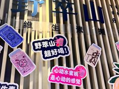 -野萃山·潮汕厚果汁(十亩地店)