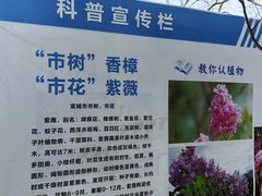 -敬亭山风景名胜区