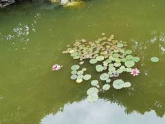 -嘉定博物馆