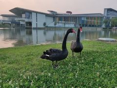 -南京医科大学(江宁校区)
