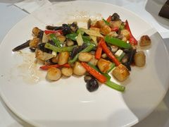 鸡枞菌鲜贝-天福苑(崇宁路店)