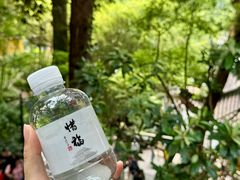 -灵隐寺