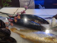 -月下料理(楷林IFC店)