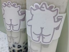 双蛋小皇椰（白屁屁）-茶力的小怪兽(梅林卓悦汇店)