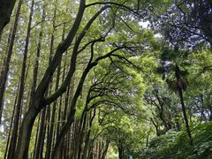 -采石矶景区