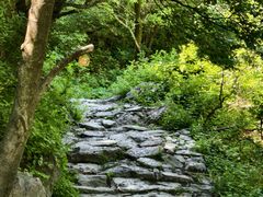 -阳台山自然风景区