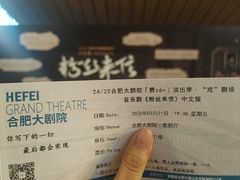 -合肥大剧院