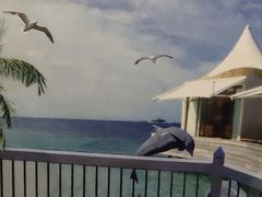 -仪雅阁·泡浴SPA养生馆