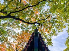 -灵谷景区