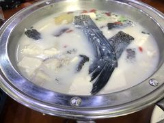 -全乐鱼馆·淳牌有机鱼直营店