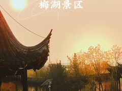 -八大山人梅湖景区