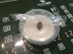 -六时安·熊猫张甜品店(东关街店)