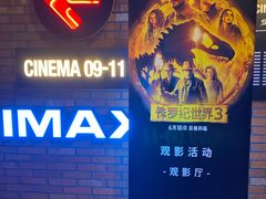 -CGV影城(壹方城IMAX店)