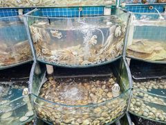 -仙螺岛海鲜自助餐厅(总店)