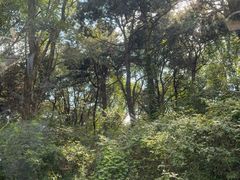 -棋盘山风景区