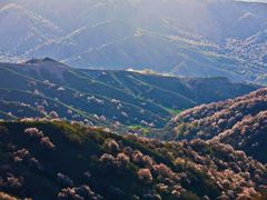 -中华福寿山