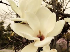 -浮山香苑