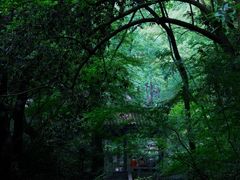 -虎跑公园