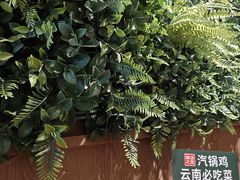 -云海肴·汽锅鸡·云南菜(苏州中心店)
