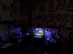 -匿名者纹身学院派·刺青