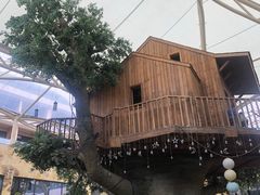 -杭州开元森泊度假乐园