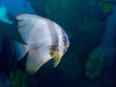 -石林冰雪海洋世界