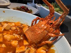 龙虾煮麻婆豆腐-拾宴(汇智国际商业中心店)