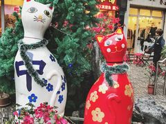 -猫咪博物馆(顶澳仔猫街店)