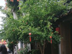 -鲤院·新中式美学·庭院餐厅(夫子庙店)