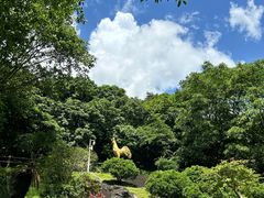 -海口火山口国家地质公园