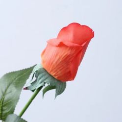 -小梨·OndaPro·专业脱毛连锁机构