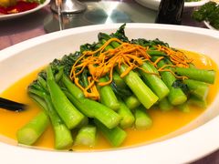 -春满园·早茶·粤菜·宴会(前海店)