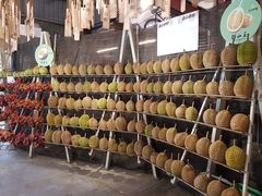 -都念榴莲·城市榴莲