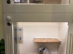 -龙猫仔乐园(惠福东路店)