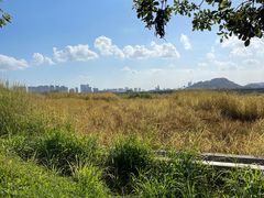 -光明小镇欢乐田园