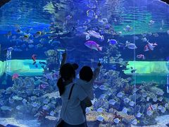 -左海海底世界