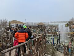 -呀路古热带植物园-恐龙馆