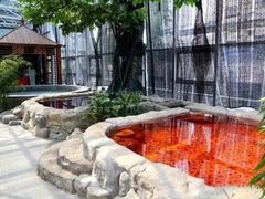 -盛彼得温泉度假酒店