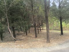 -白水寺森林公园