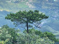 -萍乡武功山风景名胜区