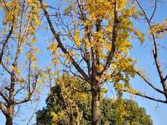 景点-白塘生态植物园