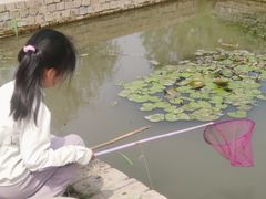 -同銮特种养殖场·龙虾垂钓